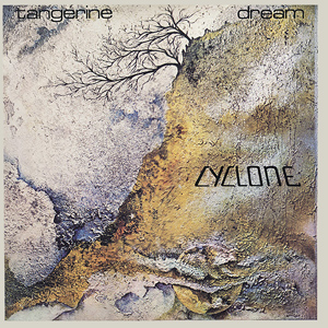 Cyclone cover